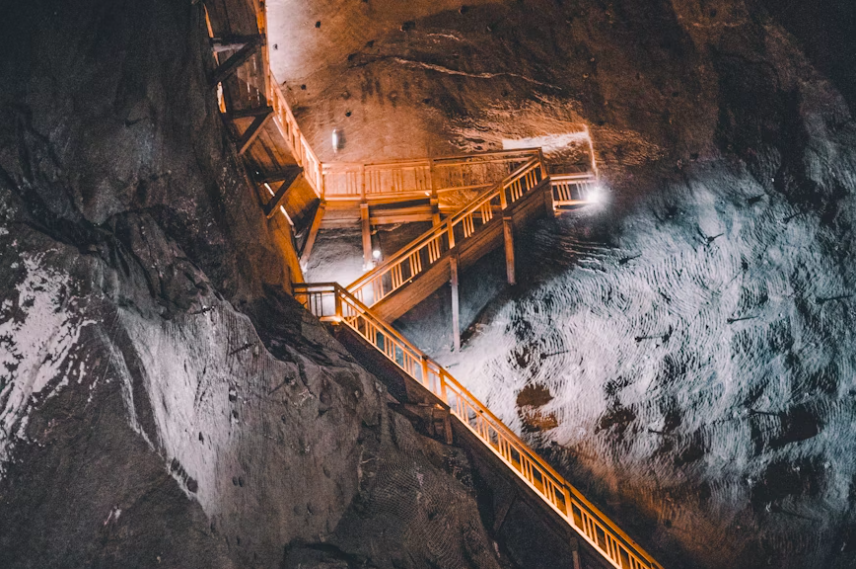 If you know that you want to learn and study anthropology, Steering helps you understand what will you apply those learnings. Photo credits Unsplash.