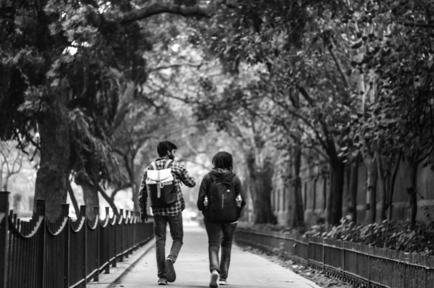 Parents and guardians, and loved ones' concerns when their kid is about to decide the subjects and courses for a college after school, a post by Steering. Photo credits Unsplash.