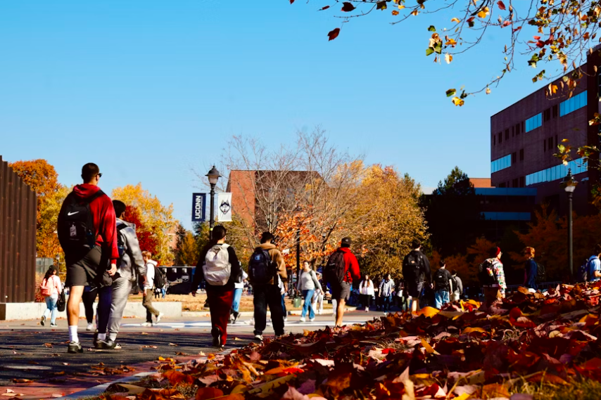 Steering writes a post about the cost of selecting a wrong college and of studying wrong subjects. Photo credits Unsplash.
