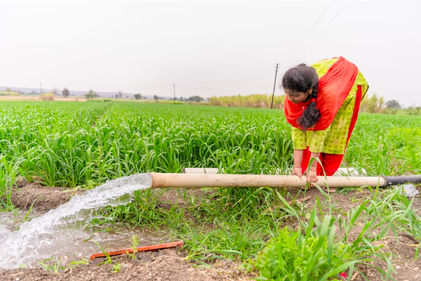 When a student is confused about the scope of career after studying B Sc in agriculture, Steering shows them the way and answers their questions.