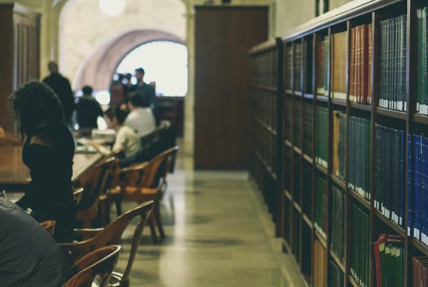 Career options for commerce students in India, for example in edtech and higher education. Post by Steering, and photo credits by Unsplash.